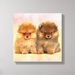 Toile Chiots allemands mignons de Spitz de Pomeranian