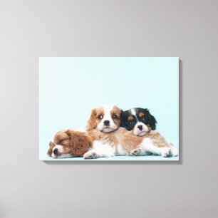 Toile Chiots espagnols Cavalier King Charles