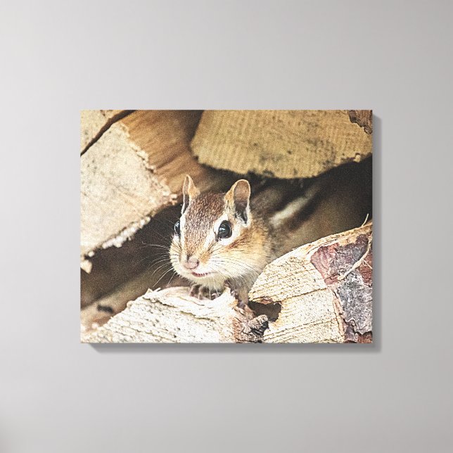 Toile Chipmunk dans une pile de bois (Recto)