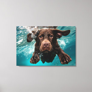 Toile Chocolat Joueur Labrador nage sous l'eau