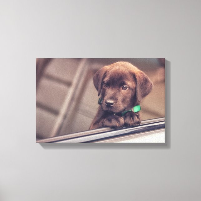 Toile Chocolat Labrador Chiot En Voiture (Recto)
