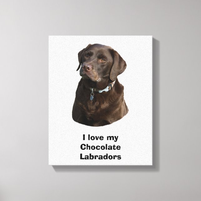 Toile Chocolate Labrador dog photo (Recto)