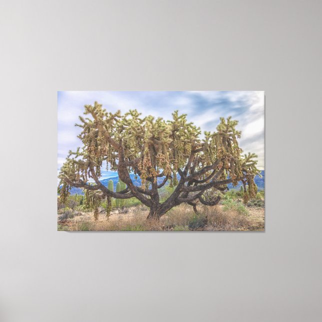 Toile Cholla aux Fruits Enchaînés (Recto)