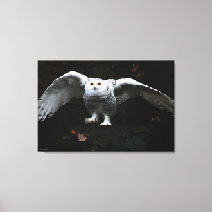 Toile Chouette neigeuse avec ailes ouvertes 36x24 (90x60