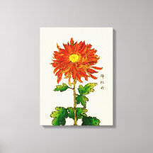 Chrysanthemum japonais vintage. Orange et or