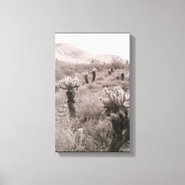 Toile Chumping Cholla Cactus Desert B&W Photo Prints (Recto)