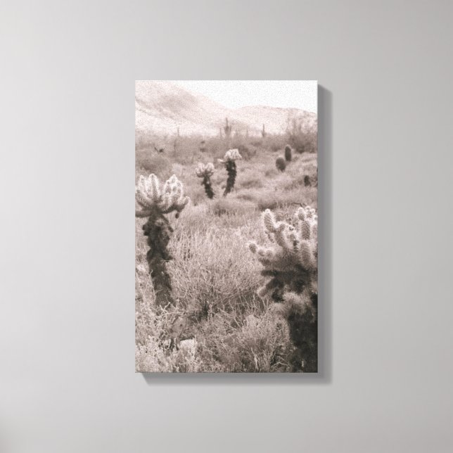 Toile Chumping Cholla Cactus Desert B&W Photo Prints (Recto)