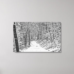Toile Chute de neige sur Forest Trail B&W