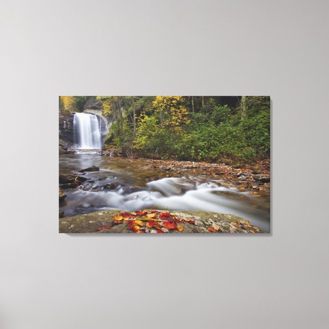 Toile chutes de Looking Glass dans le Pisgah National (Recto)
