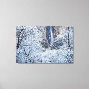 Toile Chutes de neige fraîche dans les arbres sous Brida