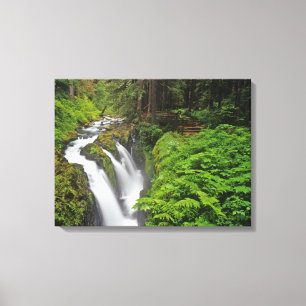 Toile Chutes Sol Duc dans le parc national olympique à