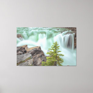 Toile Chutes Sunwapta