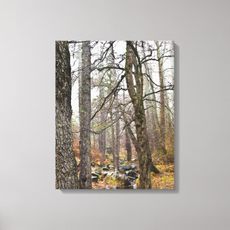Toile Chypre paysage naturel Troodos forêts brunes arbre