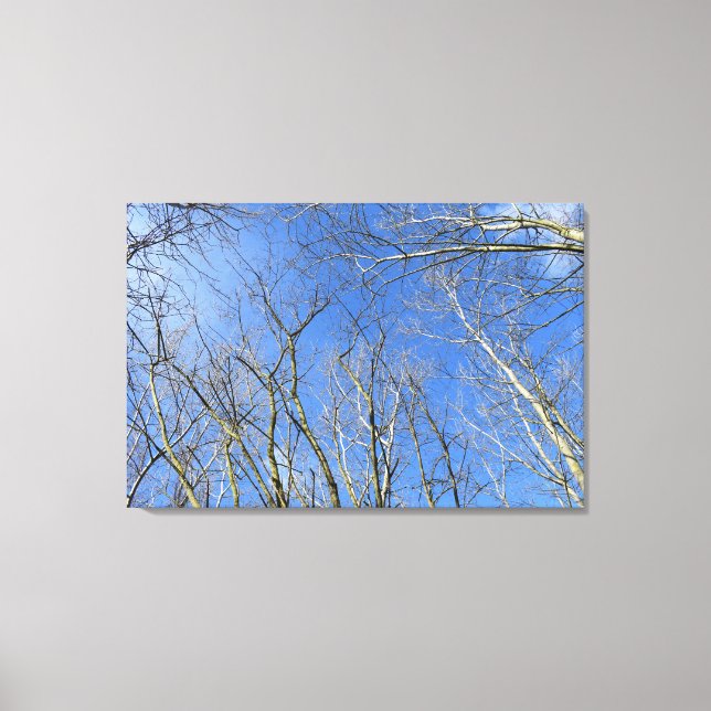Toile Ciel bleu, arbres en hiver (Recto)