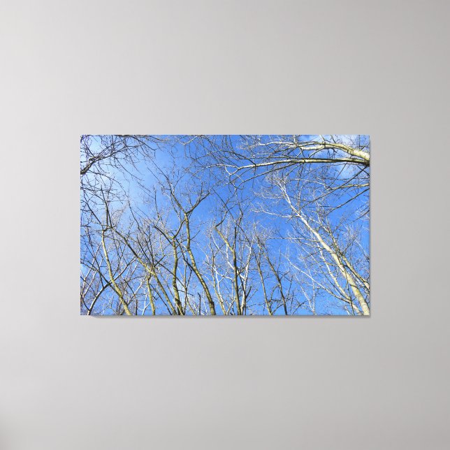 Toile Ciel bleu, Arbres en hiver (Recto)
