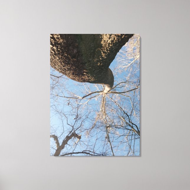 Toile Ciel limite (Recto)