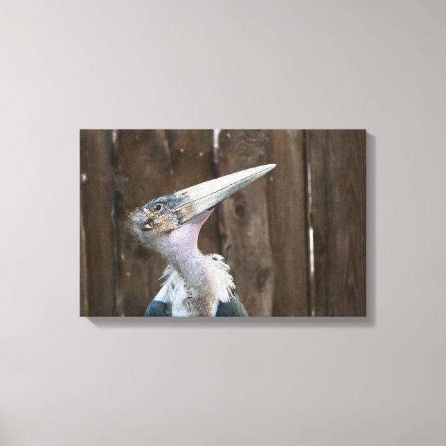 Toile Cigogne marabou (Recto)