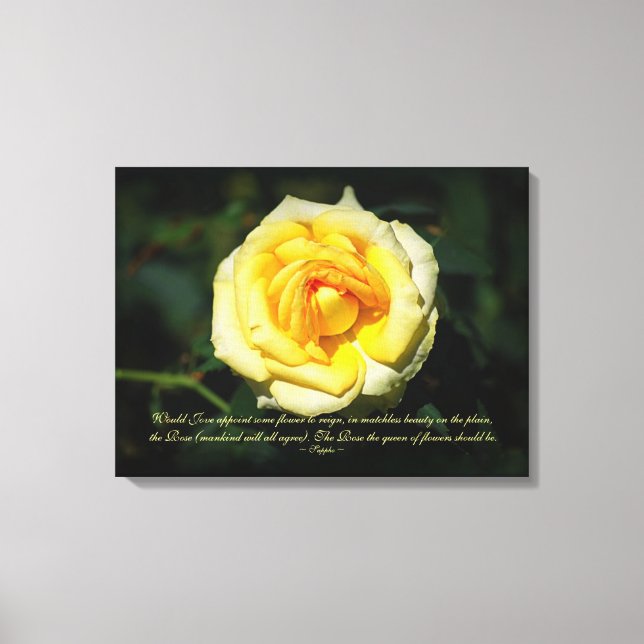 Toile Citation Sappho Rose anglais jaune (Recto)