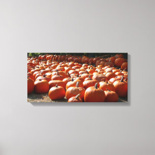 Toile Citrouille Patch Automne Harvest Photographie