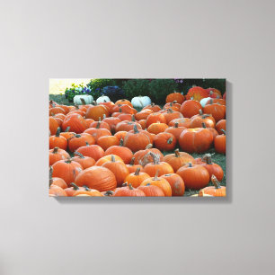 Toile Citrouilles et Chrysanthèmes Photographie de récol