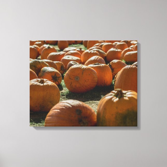 Toile Citrouilles Prévus Pour Halloween (Recto)