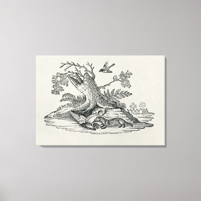 Toile Civet avec Cockerel de 'Histoire des Quadrupeds' (Recto)