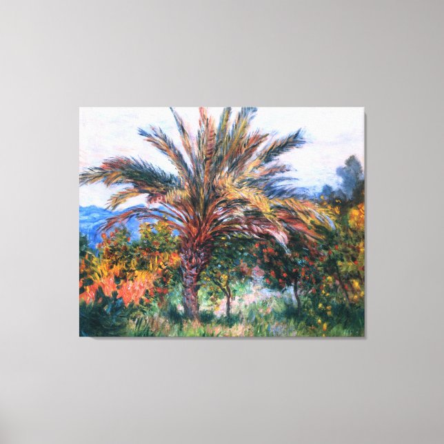 Toile Claude Monet : Palmier à Bordighera (Recto)