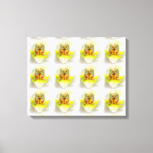 Toile closeup 12 orchidées jaune-blanc (Recto)