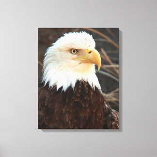 Toile Closeup de Bald Eagle