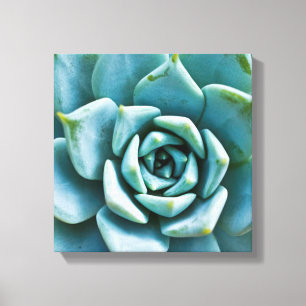 Toile Closeup Succulent
