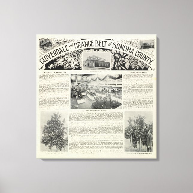 Toile Cloverdale, Californie (Recto)