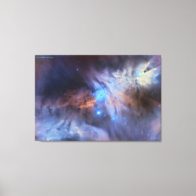 Toile Cluster d'arbres de Noël - Distingué (Recto)