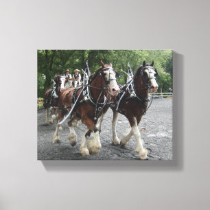 Toile Clydesdales Pulling Carriage