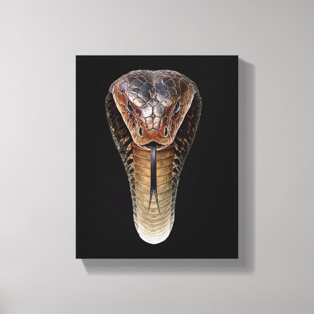 Toile Cobra royal (Recto)