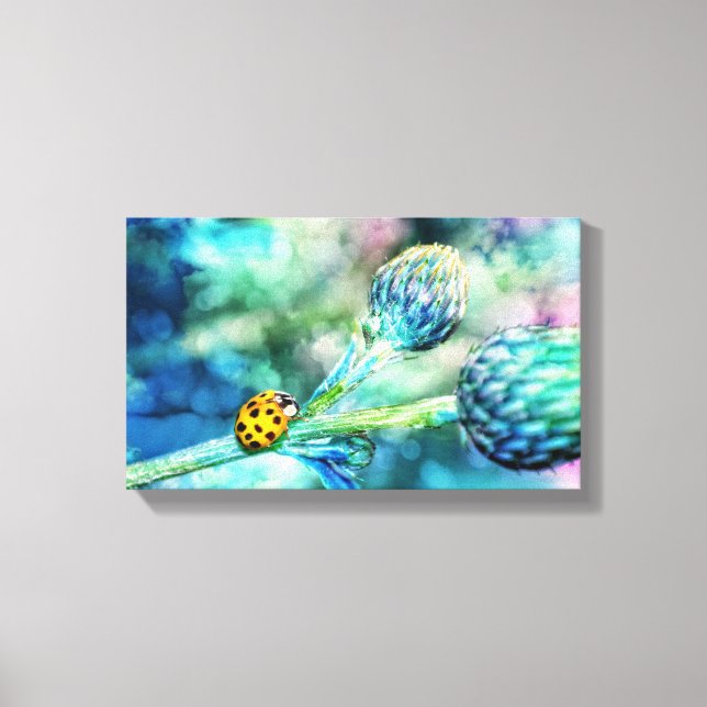 Toile Coccinelle (Recto)