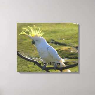 Toile Cockatoo à pois de soufre jaune australien