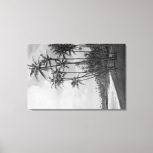 Toile Cocotiers - photographie d'îles hawaïennes