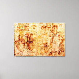 Toile Cœur et ses vaisseaux sanguins, marron