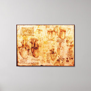 Toile Coeur Et Ses Vaisseaux Sanitaires, Brown