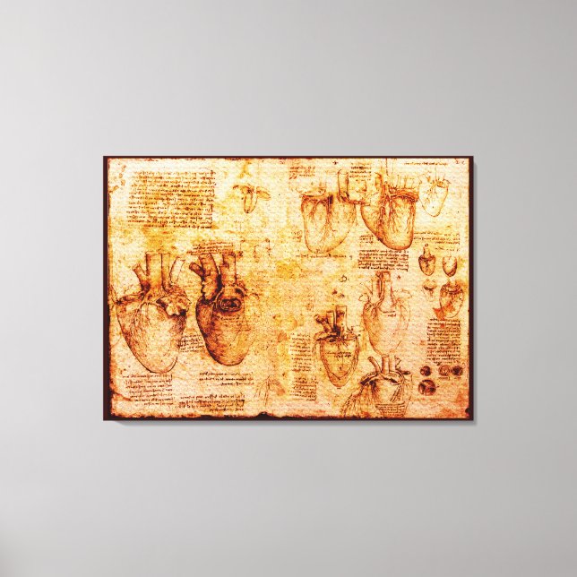Toile Coeur Et Ses Vaisseaux Sanitaires, Brown (Recto)