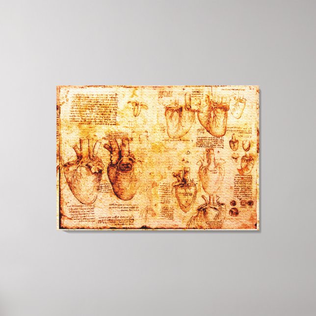 Toile Coeur Et Ses Vaisseaux Sanitaires, Brown (Recto)