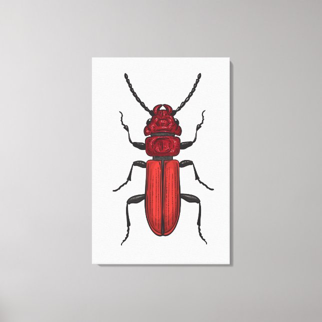 Toile Coléoptère rouge (Recto)