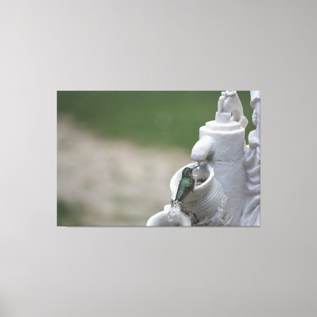 Toile Colibri Dans La Fontaine (Recto)