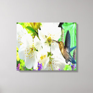 Toile Colibri en fleurs de pêche