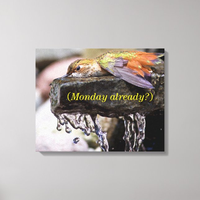 Toile Colibri posé dans l'eau (Recto)