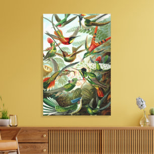 Toile Colibris par Ernst Haeckel, Oiseaux Arbres vintage