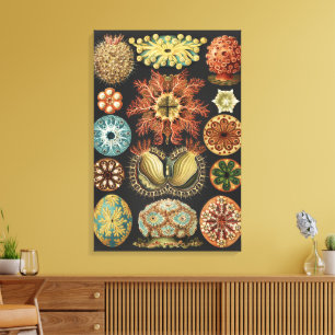 Toile Collage d'art de la vie marine nautique d'Ernst Ha