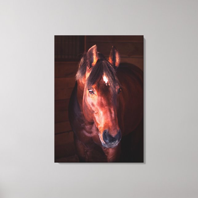 Toile collection de chevaux. Trakehner (Recto)