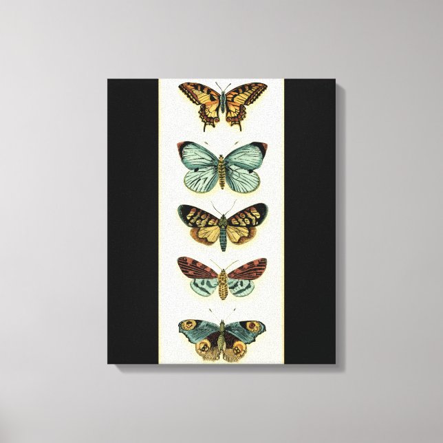 Toile Collection Papillons par Chariklia Zarris (Recto)