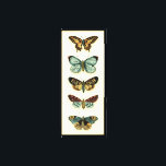 Toile Collection Papillons par Chariklia Zarris<br><div class="desc">Ce tableau de Chariklia Zarris est un rêve de lépidoptères ! Impression étonnamment détaillée d'une collection de papillons,  cette pièce est étonnante dans son utilisation de la couleur. Obtenez votre copie aujourd'hui !</div>